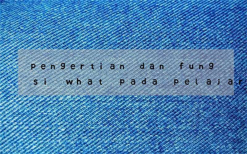 pengertian dan fungsi what pada pelajaran bahasa inggris